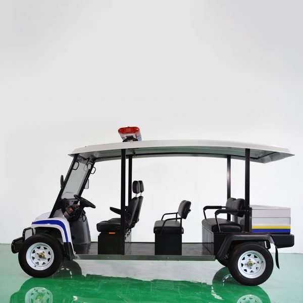 Electric Cruise Car