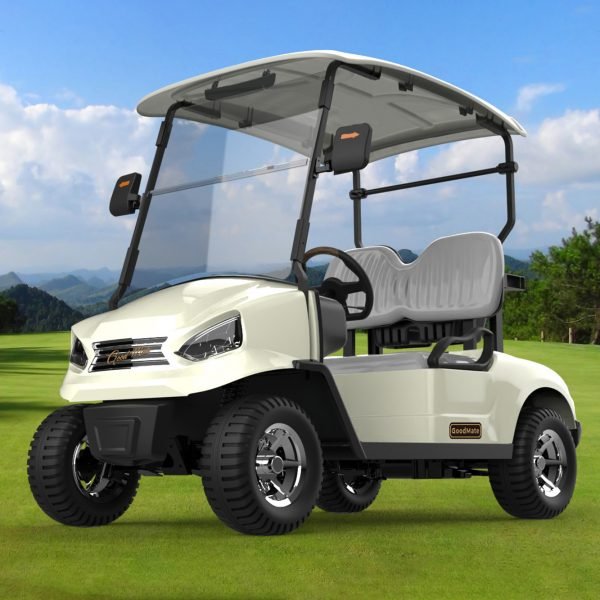 cheap Golf Car