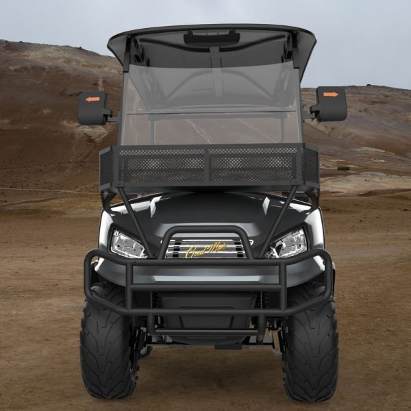 Electric Golf Buggy