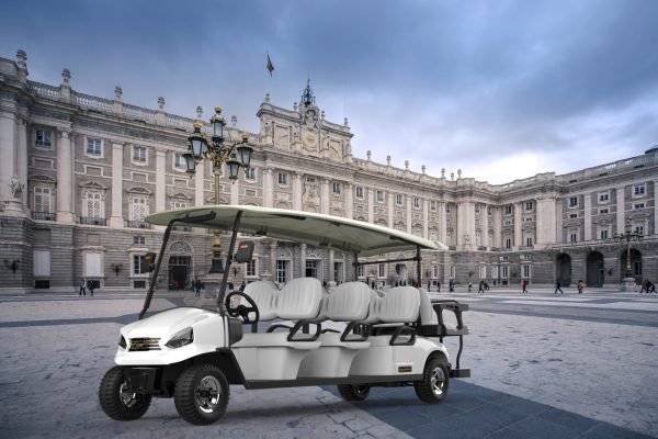 Electric Golf Buggy