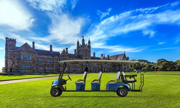 Electric Golf Buggy