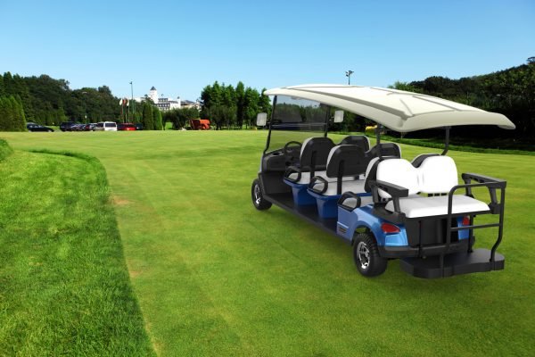 Electric Golf Buggy